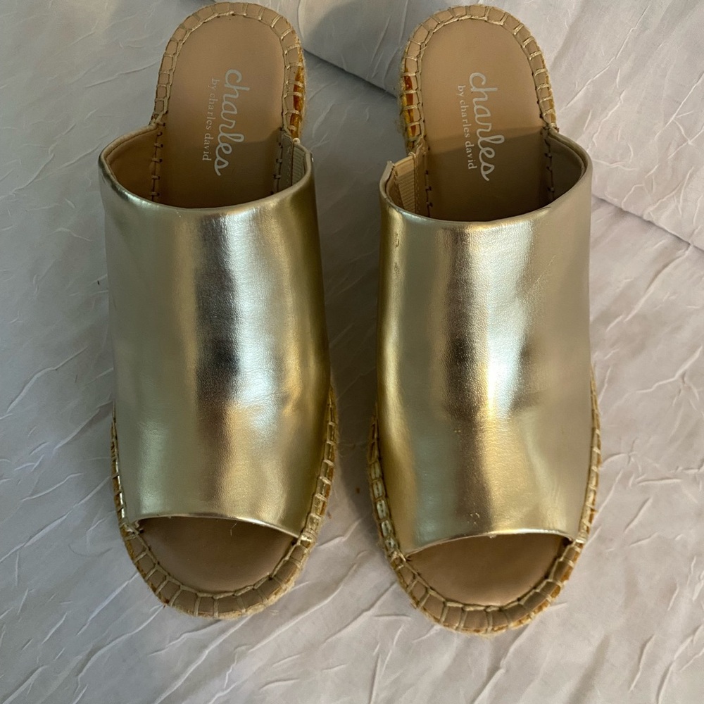 Charles By Charles David Gold Mules